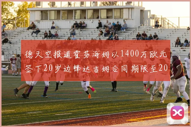 德天空报道霍芬海姆以1400万欧元签下20岁边锋达吉姆合同期限至2031年
